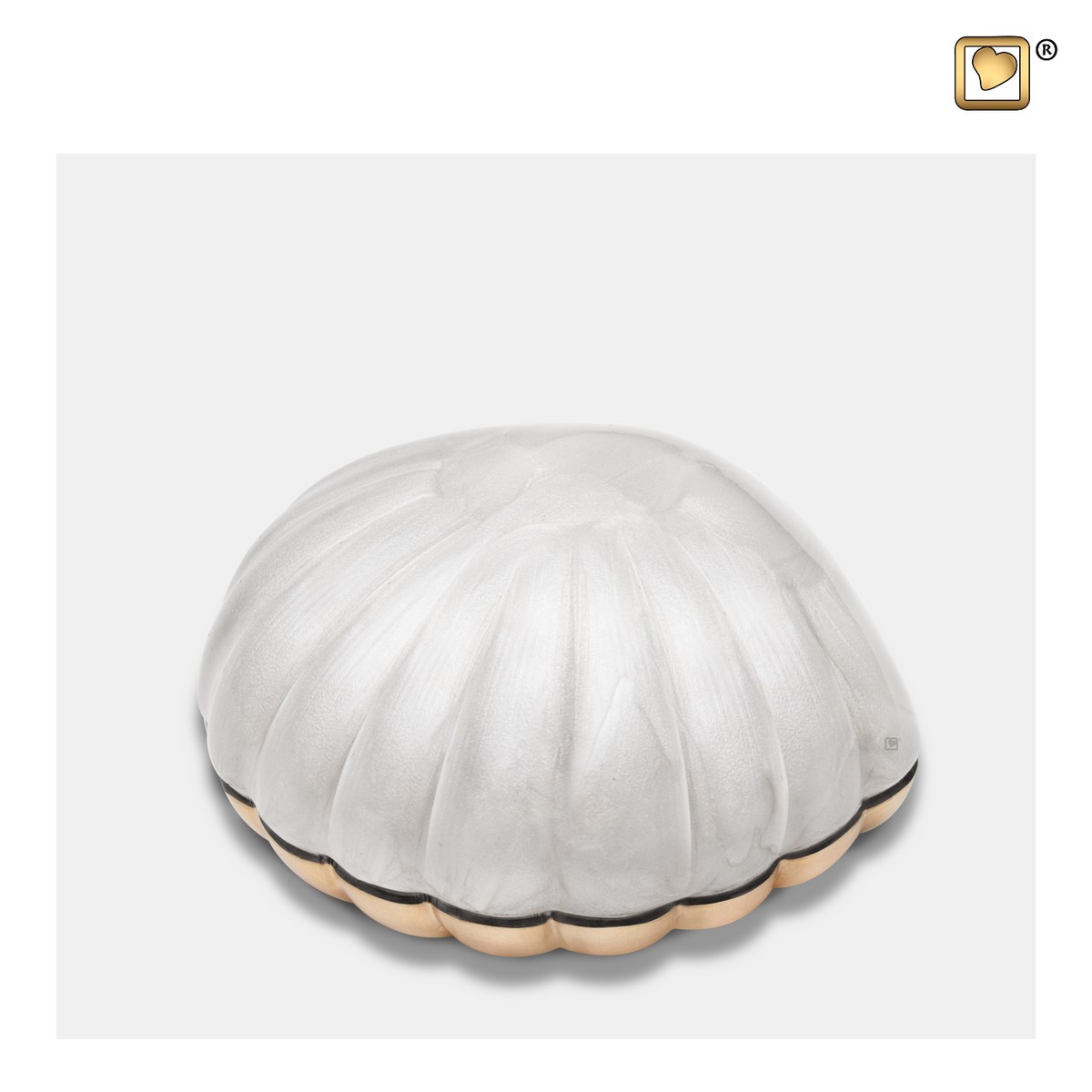 Shell keepsake Pearl White&Bru Gold